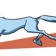 Illustration af en hurtig hest